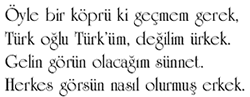 font21